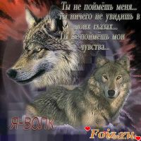 Nait_Volf-id132130, 42 из г. Днепр