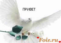 id132203, 64 из г. Белая Церковь