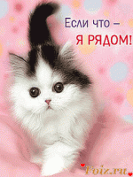 id135034, 35 из г. Киев