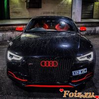 id135676, 40 из г. Белая Церковь