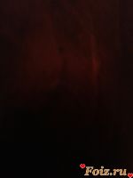 Bespridelnik-id139950, 34 из г. Днепр