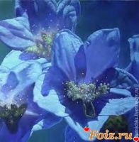 Lunar_flower-id140754, 37 из г. Павлодар