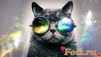id140779, 41 из г. Белая Церковь