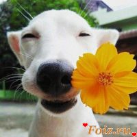 id141100, 46 из г. Донецк 