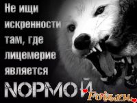 maksim42-id143882, 645 из г. Сыктывкар