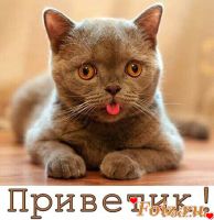 id144753, 14 из г. Киев