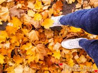 id147053, 38 из г. Харьков