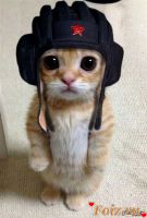 Zaya_555-id151529, 20 из г. Абакан 