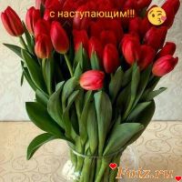 Piyyt56-id153009, 45 из г. Одесса