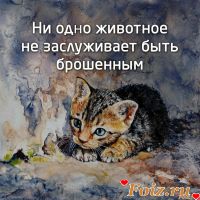 _М_и_л_е_н_и_у_м_, 30 из г. Минск