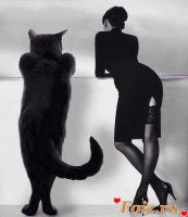 _VELENA_-id155044, 50 из г. Харьков