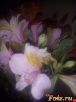 Tanjaa-id156122, 39 из г. Харьков