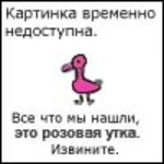 Winsant, 74 из г. Муравленко 