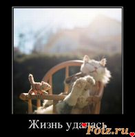 id159624, 48 из г. Киев