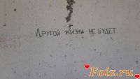 Вискарик-id160710, 19 из г. Бровары