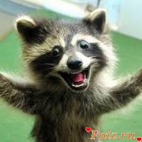 id162418, 19 из г. Киев