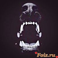 id163569, 19 из г. Киев