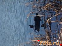 id165081, 39 из г. Киев