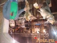 id165466, 50 из г. Харьков