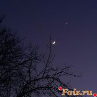 id166281, 29 из г. Киев