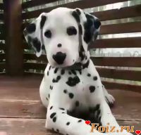 id169214, 39 из г. Москва