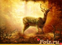 id169753, 19 из г. Москва