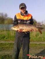 id170393, 40 из г. Донецк 