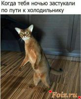 вундеркинд-id172444, 35 из г. Петропавловск