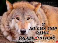 KOZAK777-id173407, 54 из г. Запорожье