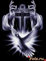 amerika77-id173456, 47 из г. Киев