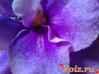 id177421, 18 из г. Киев