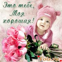 id181845, 24 из г. Винница