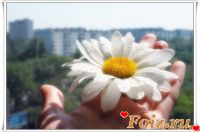 id185424, 19 из г. Киев