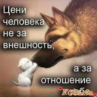 AlexB-id189111, 40 из г. Днепр