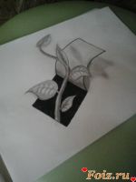 Ginpri-id192518, 42 из г. Киев