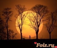 id193935, 48 из г. Харьков