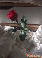 malinkaa, 36 из г. Киев