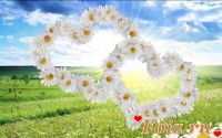 id196114, 59 из г. Киев