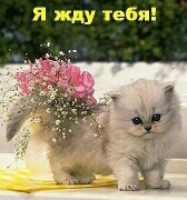 id197968, 46 из г. Киев