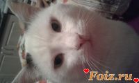 id198109, 47 из г. Измаил