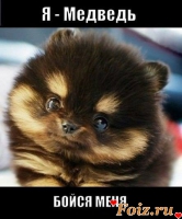 chornyj, 53 из г. Киев