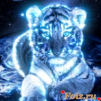 Тема777, 37 из г. Донецк 