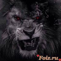 id202798, 19 из г. Москва