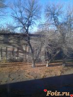 id203058, 25 из г. Запорожье