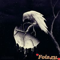 id205634, 46 из г. Киев