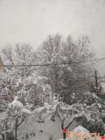 Vitalik123-id206931, 33 из г. Киев