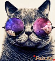 ПРОКОТ-id209348, 25 из г. Харьков