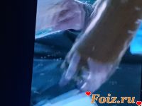 id211900, 40 из г. Montluзon