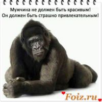 id213375, 45 из г. Запорожье