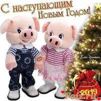 hanter008-id213736, 48 из г. Херсон